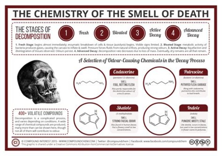 What does death smell like?