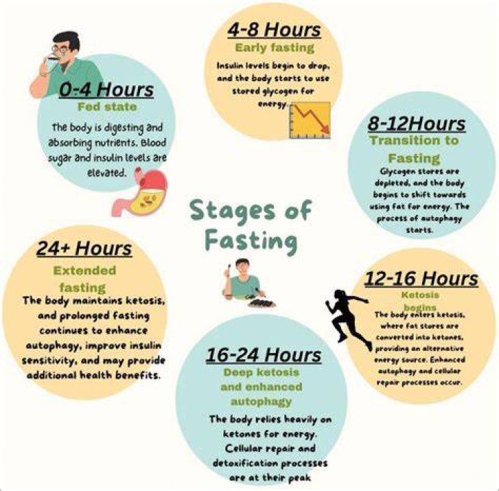 What does fasting do for your body?
