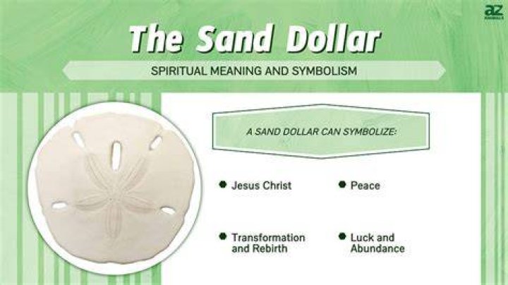 What does finding a sand dollar mean?