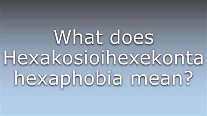 What does Hexakosioihexekontahexaphobia mean?