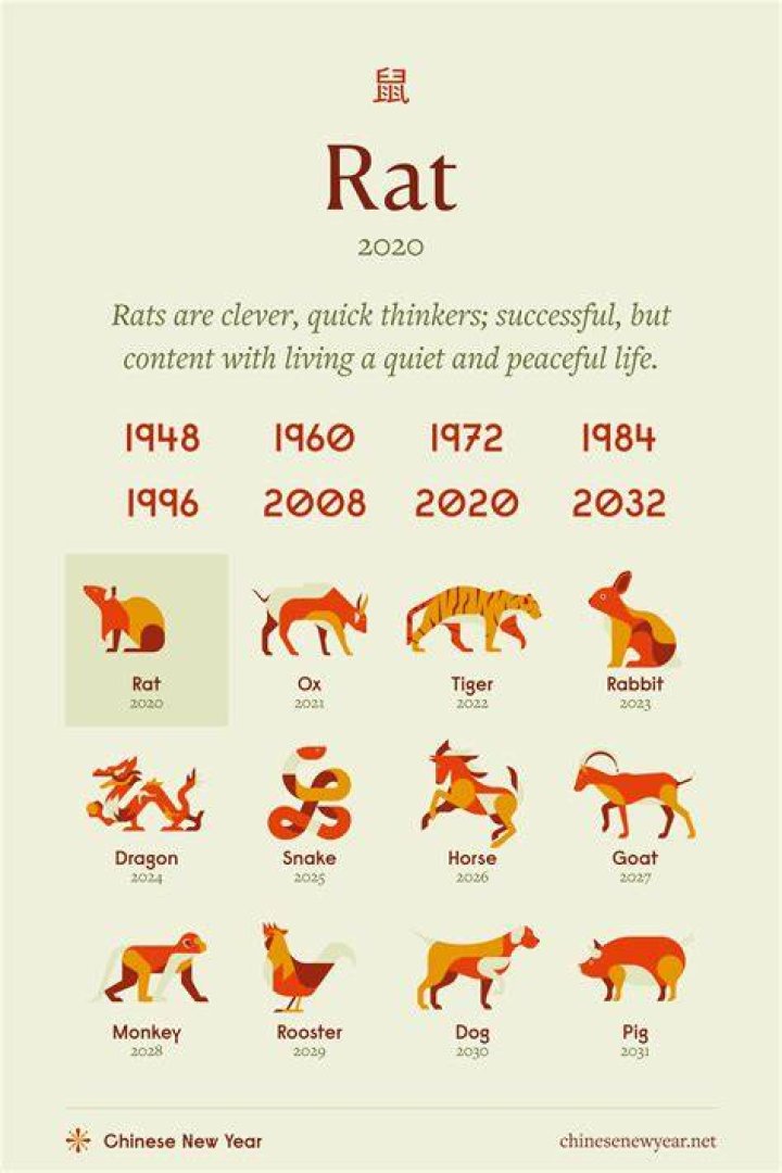 What does it mean to rat something?