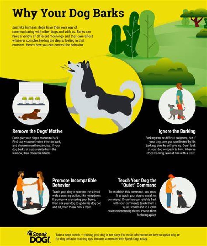 What does it mean when a dog barks at someone?