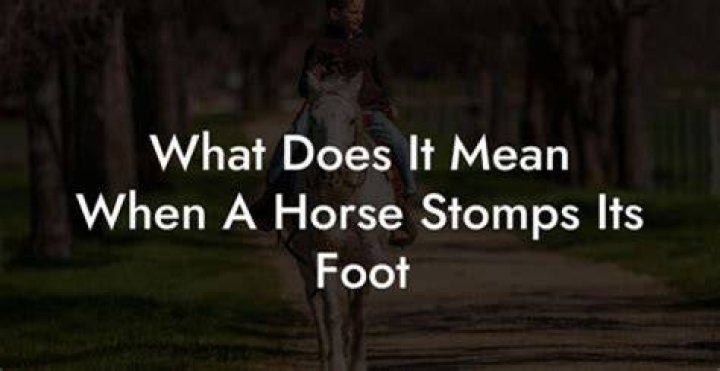 What does it mean when a horse stomps his front foot?