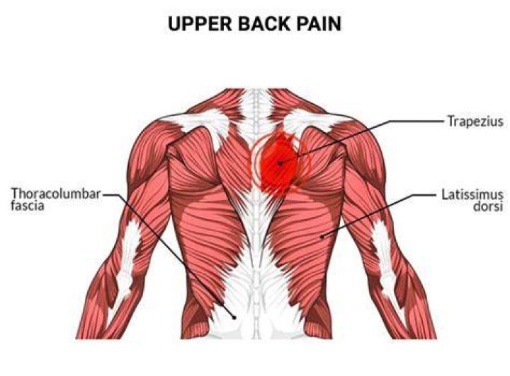 What does it mean when the upper left side of your back hurts?