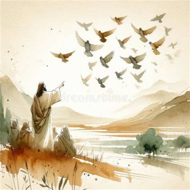 What does Jesus say about the birds and flowers?