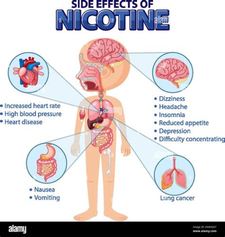 What does nicotine do to spiders?