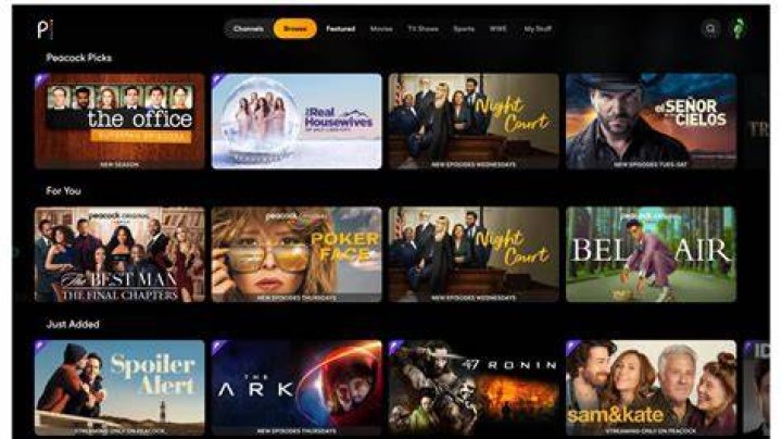 What does Peacock have that Netflix doesn t?