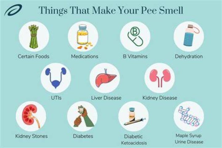 What does pee taste like?