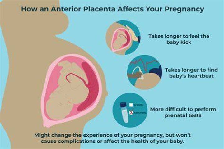 What does placenta do to the hair?