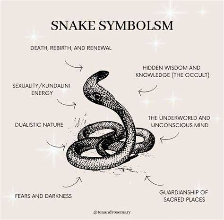 What does snake tattoo mean?