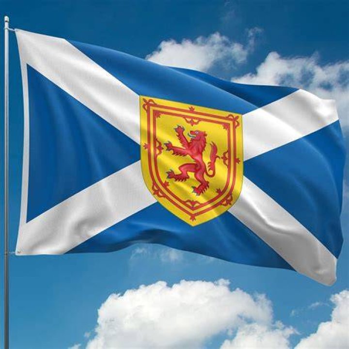 What does the lion on the Scottish flag mean?