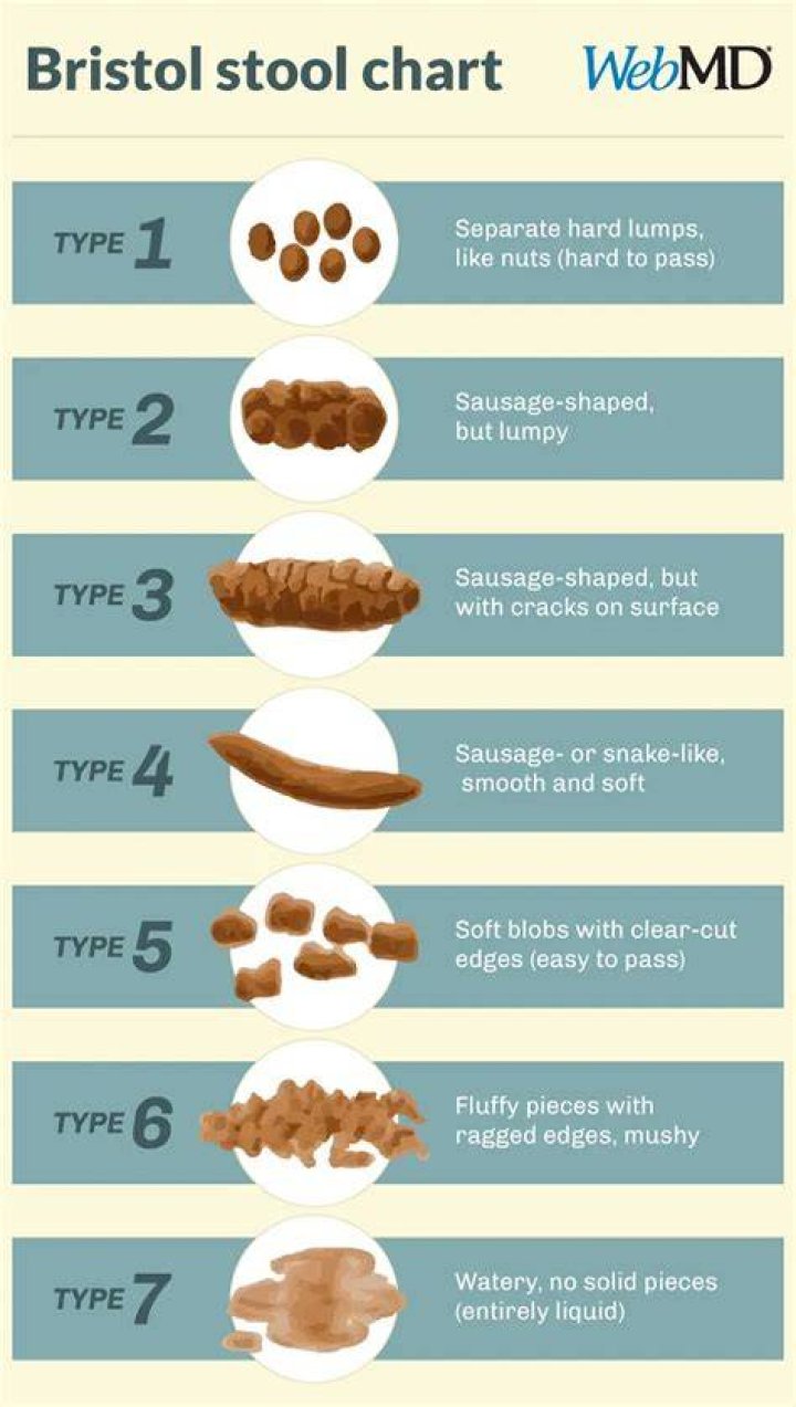 What does Type 7 poop mean?