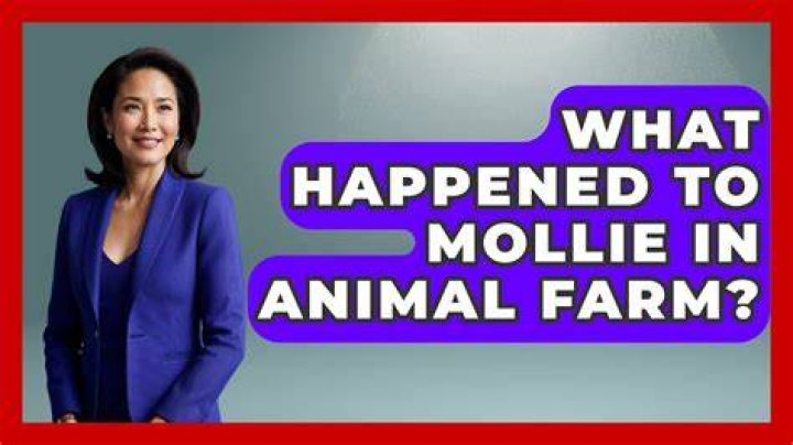 What finally happens to Mollie?
