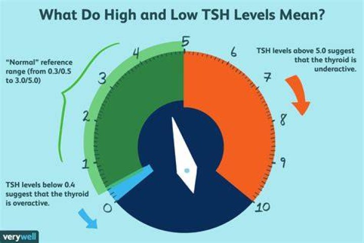 What happens if TSH is slightly high?