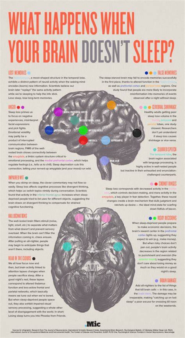 What happens to your brain if you don't read?