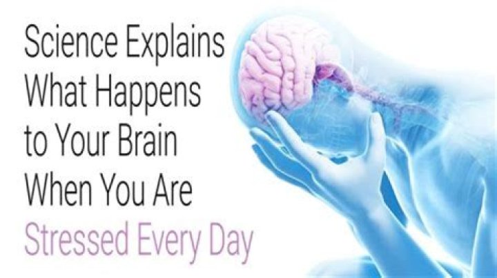What happens to your mind when you turn 30?