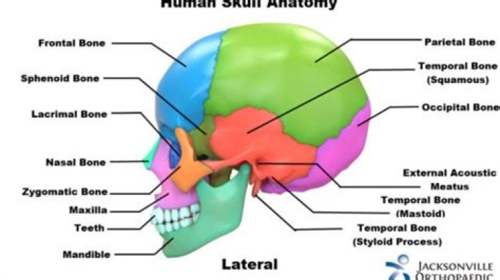 What happens when part of your skull is removed?