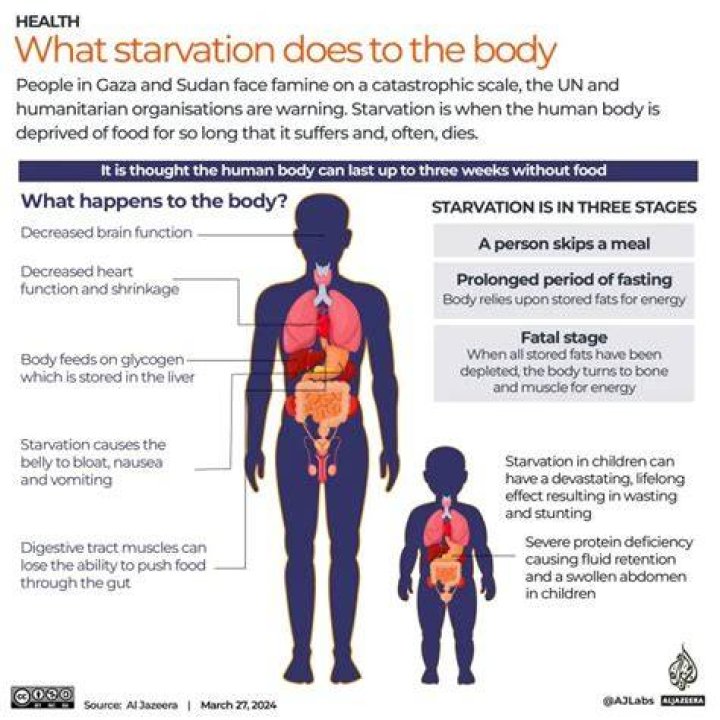 What happens when u starve your body?
