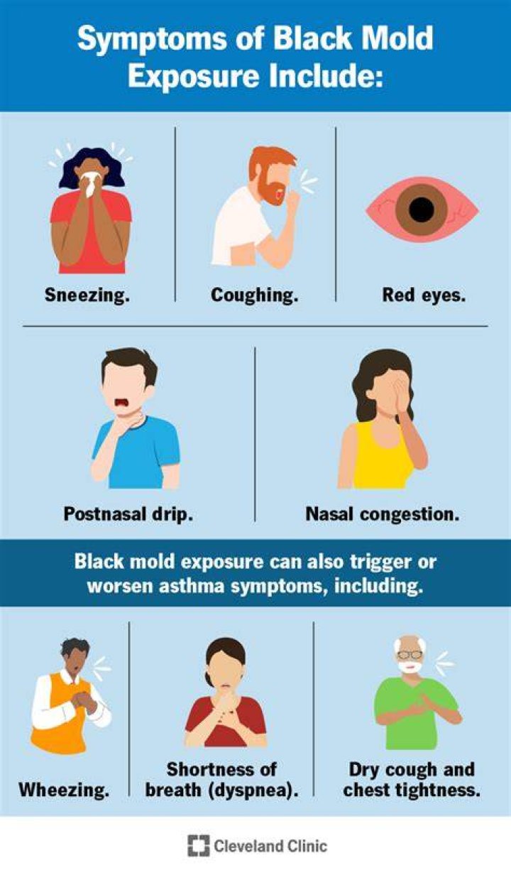 What happens when you breathe in black mold?