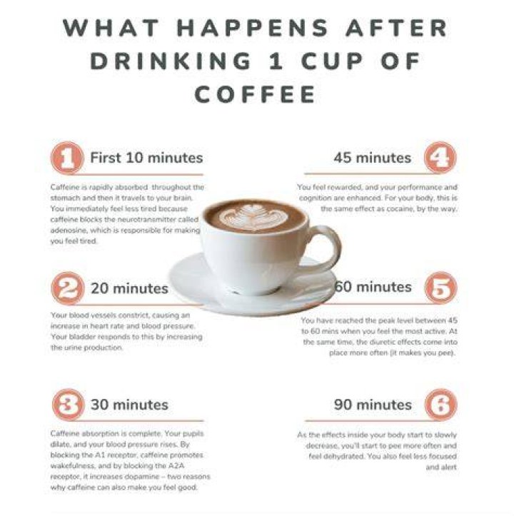 What happens when you drink coffee everyday?