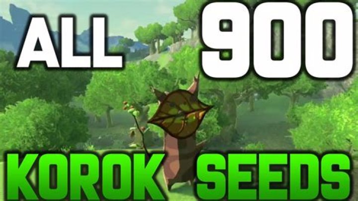 What happens when you get all 900 Korok seeds?