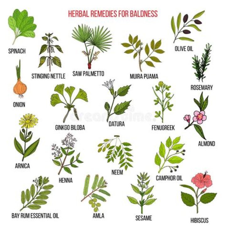 What herb cures baldness?