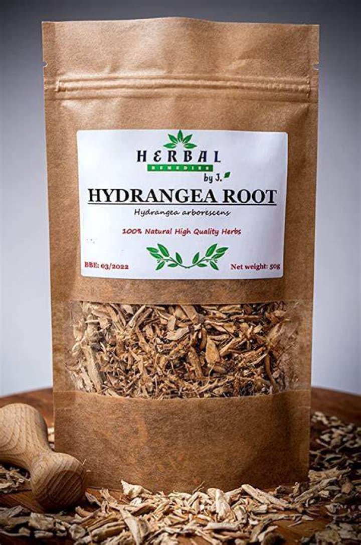 What Herb kills UTI?