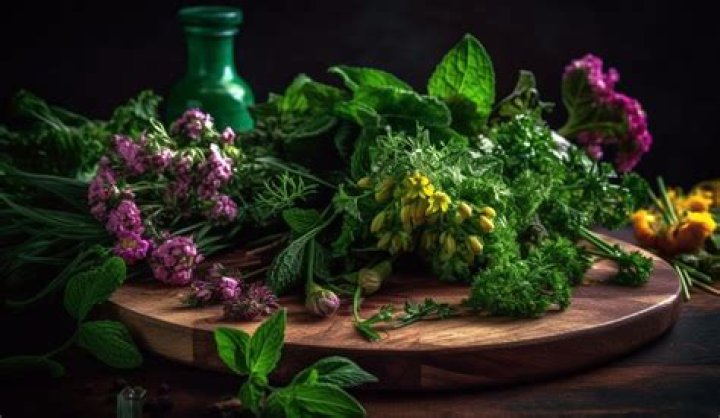 What herbs get rid of syphilis?