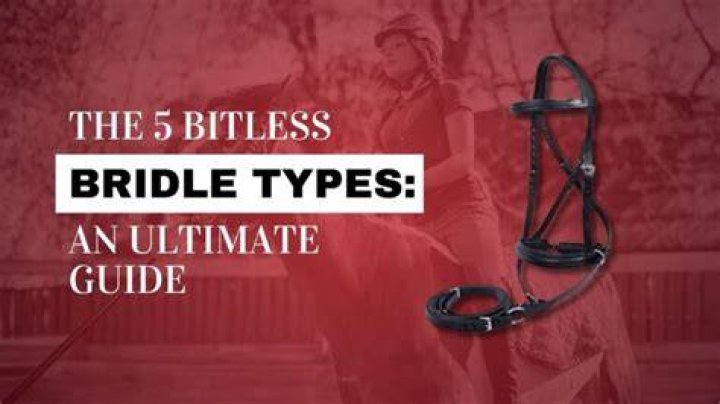 What is a bridle without a bit called?