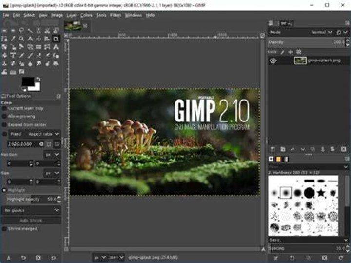 What is a gimp?