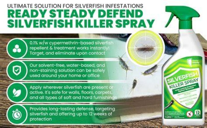 What is a good spray for silverfish?