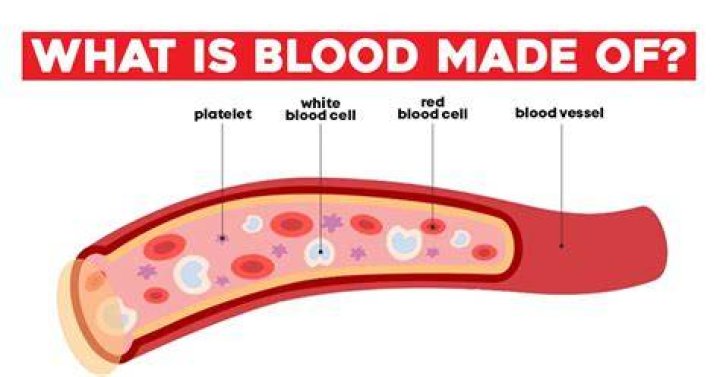What is a period blood made of?