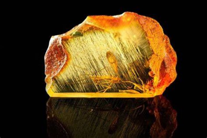 What is amber worth?