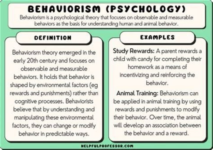 What is an example of Behaviourism?