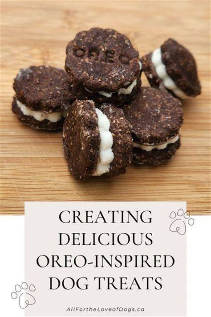 What is an Oreo dog?