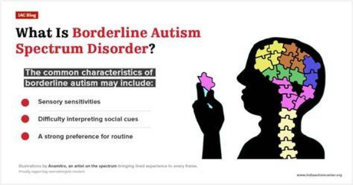 What is borderline autism?