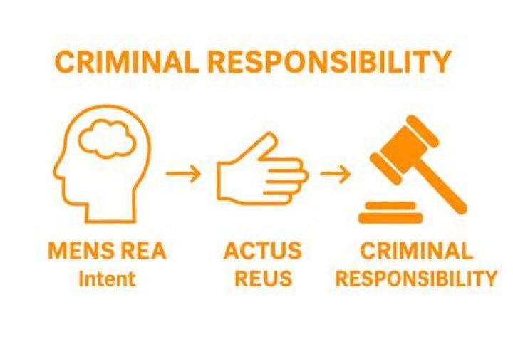 What is criminal racket?