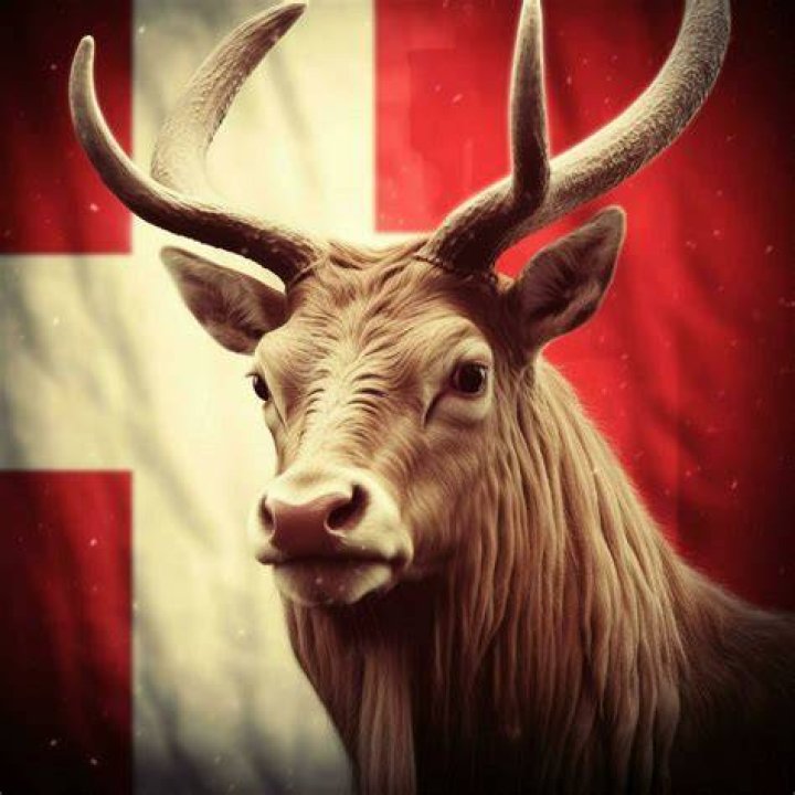 What is Denmark's national animal?