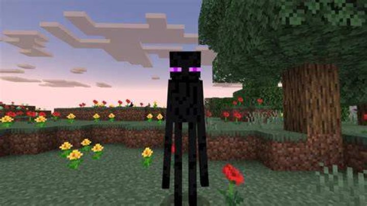 What is Enderman based on?