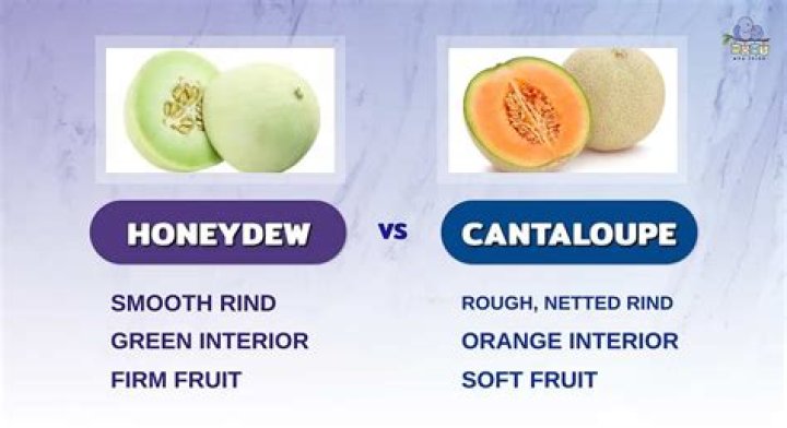 What is honeydew honey good for?
