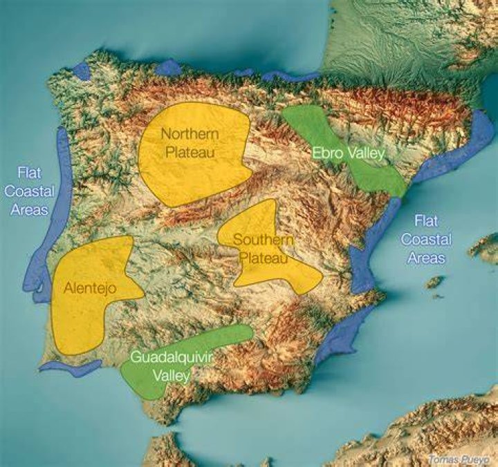 What is Iberian race?