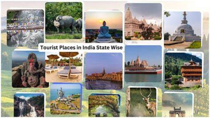 What is India best at in the world?