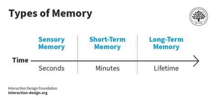 What is memory load in HCI?