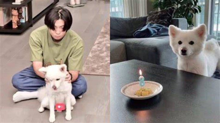 What is Namjoon's dog name?