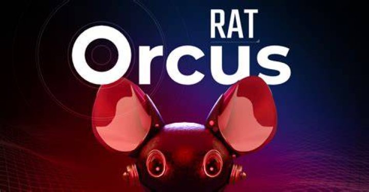 What is orcus rat?