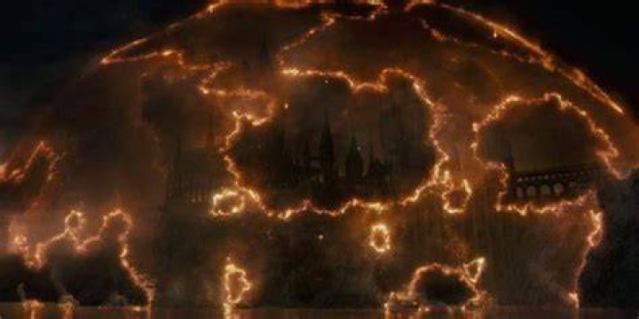 What is Protego horribilis?