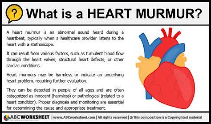 What is Requiem murmur?