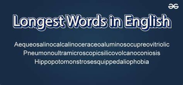 What is the 2nd longest word in the world?
