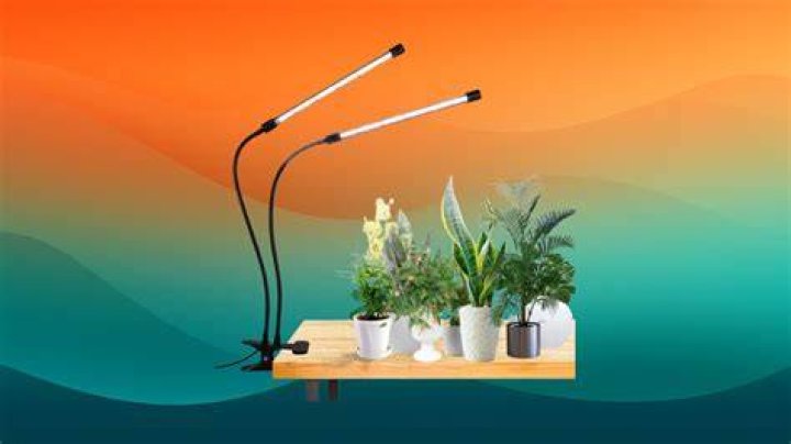What is the best artificial light for plants?