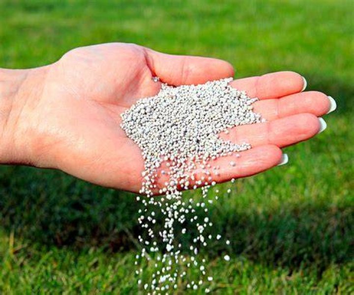 What is the best fertilizer for big buds?